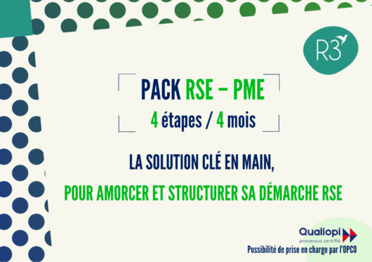 Image de la ressource : Pack RSE-PME